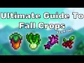 The Ultimate Fall Crops Guide - Year One