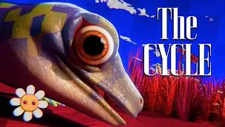 THE CYCLE