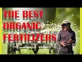 Organic Fertilizers For your Lawn