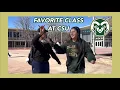 WHAT CLASSES TO TAKE AT CSU Colorado State University Jenny Tiaira