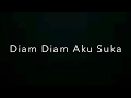 Download Lagu moccatune - Diam Diam Aku Suka || Violin cover by VanxViolin