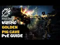 Download Lagu 🐵 BDO | Wukong - How to Grind Efficiently at Golden Pig Cave | Fortunate