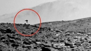 LA NASA FOTOGRAFÍA UNA MEDUSA EN MARTE - ¿Extraterrestres o glitch?