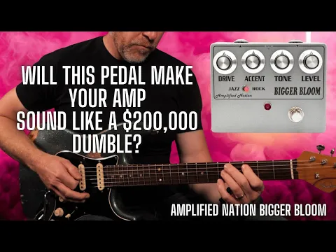 Amplified Nation Bigger Bloom D-Style Drive | Delicious Audio