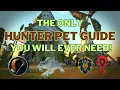 Hunter Pet Guide For World Of Warcraft Classic Season Of Discovery