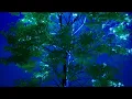 Download Lagu ForestCode II VJ Loops