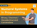 Numeral Systems in Programming Dev Concepts