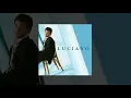 Luciano Pereyra - Sin Testigos (Audio)
