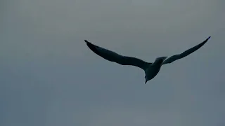 ماتضيق إلا وتفرج رحمتك تسبق عذابك 