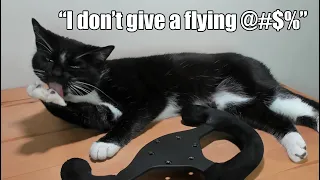 the best of sim cat getting in on the action cameo montage 