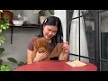 Surat Dari Masa Lalu - Siluet