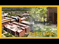 This is UMBC