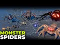 Giant Spider Monsters Size Comparison 3D From Smallest to Largest