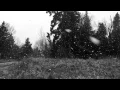 cold snow gif