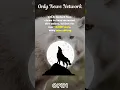 Download Lagu Dire Wolf De-Extinction Sparks Global Debate on Ethics, Conservation, and Climate Impact