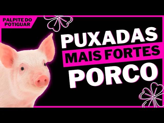 Download MP3 Puxada do Porco - Jogo do Bicho