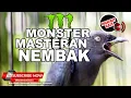 Download Lagu 🔴Srigunting Masteran Paling Kejam Tembakan Pedas❗️KATEM CILILIN JENGGOT GREJA PELATUK PRENJAK TIR❗️