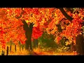 Autumn Fall Scenery,  Peaceful Hymn piano Music, \
