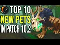 Top 10 New Hunter Pets Added in 10 2 Guardians of the Dream WoW