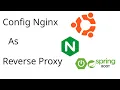 How to set reverse proxy in front of spring boot app