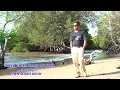 Download Lagu GREEN GREEN GRASS OF HOME Cover by EMEN SERAN WILIK