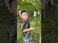 Download Lagu Buah pepaya di bilang buah mangga ?? #mommylife #mommyvlogger #mommy #shortvideo