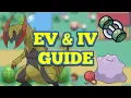 What are EVs and IVs Pokemon