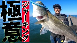「釣れるジャーク」と「釣れないジャーク」を教えます。