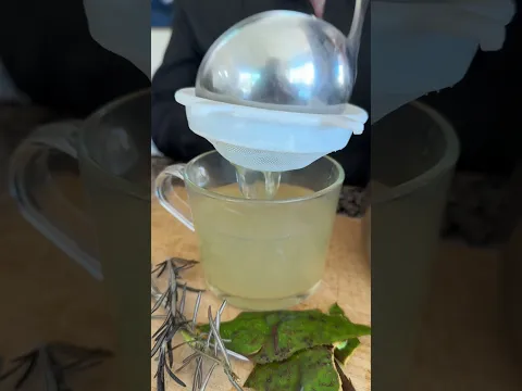hierve cascara de aguacate