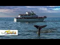 Rudee Tours - Whale Watching