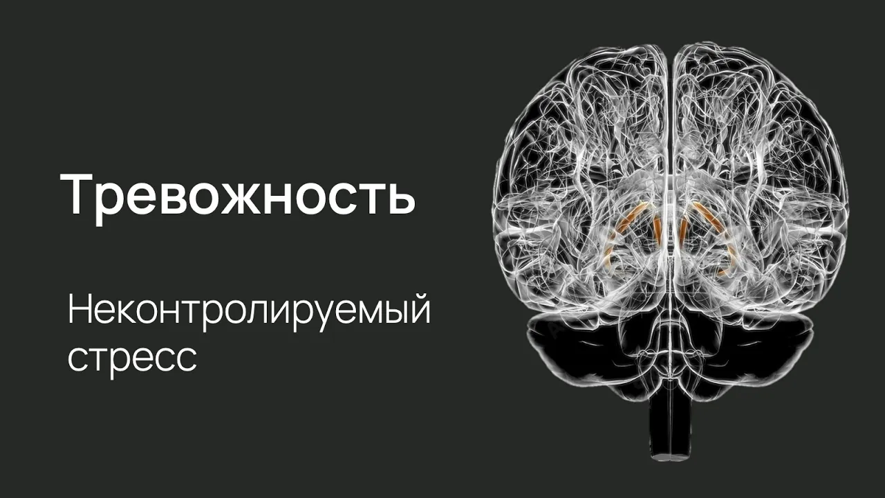 Что такое тревога и как с ней справляться