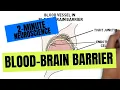 2-Minute Neuroscience Blood-Brain Barrier