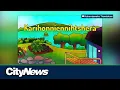 games to learn Indigenous languages