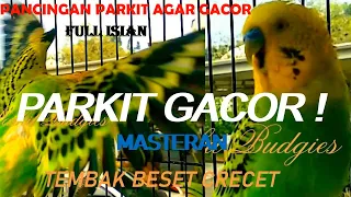 Download PARKIT GACOR ! Full Isian Kasaran Kicauan - Pancingan Parkit Agar Gacor Dan Bunyi / Budgie Parakeet MP3