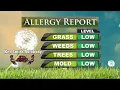 Ken Smith Autobody Allergy Report 25