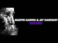 Martin Garrix & Jay Hardway - Wizard (Radio edit)