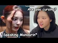 Download Lagu jeongyeon accusing tzuyu of cursing in mandarin ft. michaeng sharing blanket