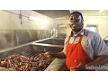 The Best BBQ Pitmasters of the South Southern Living