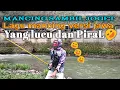 Lagu LAGU MANCING LUCU VIRAL VERSI JAWA TERBARU