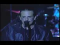 De Cierto Azul (DVD) - Real de Catorce