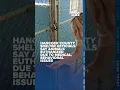 Hancock County shelter s say animals euthanized due to medical behavioral issues