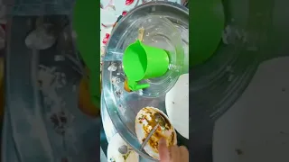 روتين تنظيف يومي 