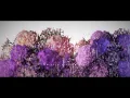 Download Lagu ASCA 『ハイドレンジア』Music Video【シングル「Howling」(「魔法科高校の劣等生 来訪者編」OPテーマ)収録曲】
