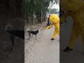 Download Lagu teddy Bear 🐻 best Fanny moments tiktok video #teddy #tiktok #funny