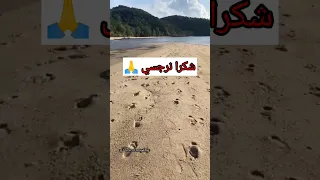 للنرجسي افضال كثيرة علينا الدروس المستفادة في علاقتك بالنرجسي شكرا نرجسي 