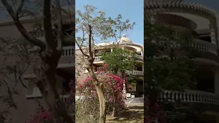 منزل ابو العزايم فرحاني طنبدي مغاغة المنيا 