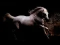 يا روايح الزمن الجميل _هدى عمار.