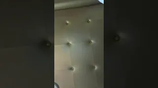 إنهاك الحية السوداء السامة القاتلة العجوز بسحر وحسد الراقي المغربي نعيم ربيع 