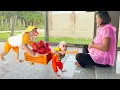 Download Lagu CUTIS \u0026 baby monkey secretly did cutest thing ever for pregnant Mom🤩