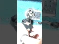 Controller Handle Removal PLEASE SUBSCRIBE APPRECIATE ALL YALL